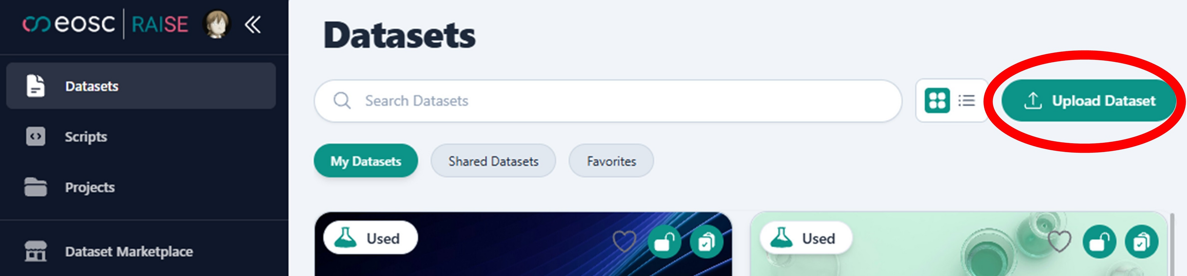 Dataset upload button.