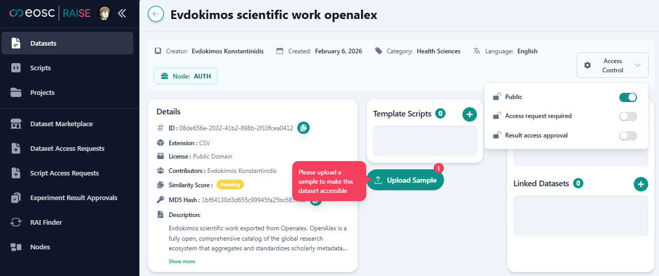 Dataset upload step 4.